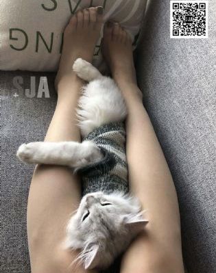 电影第一滴血1免费完整版