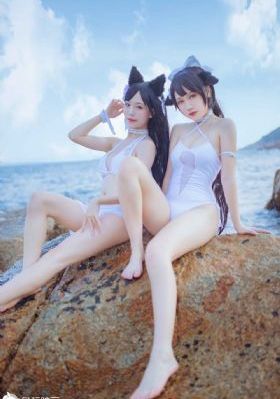 珠帘玉幕免费看