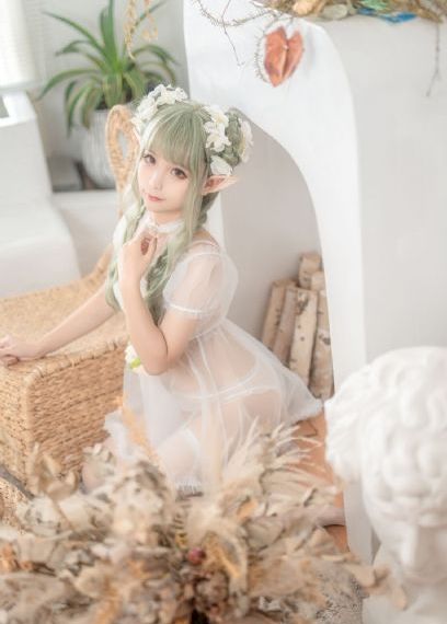 完美世界动漫全集免费