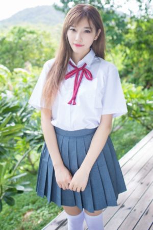 兽兵卫忍风贴