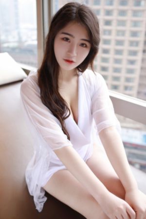 女警花之夜三级