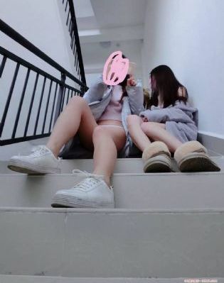 风吹半夏电视剧免费看