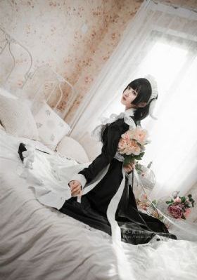 珠帘玉幕电视剧免费观看