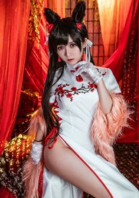 完美奴仆